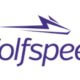 Wolfspeed logo SiC Silicon carbide manufacturer CREE